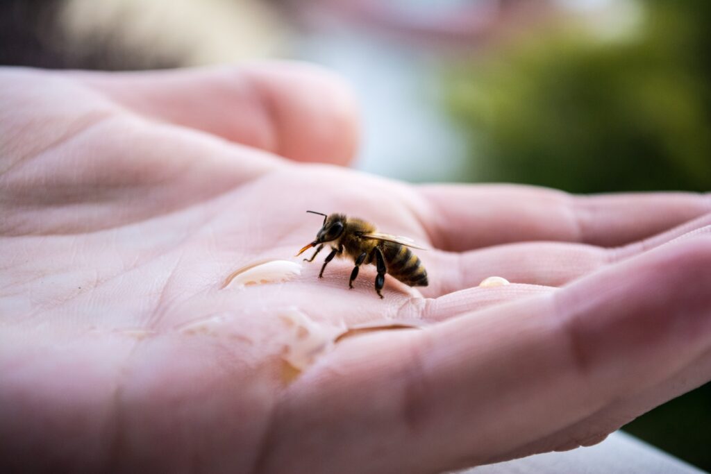 yellow bee on hand